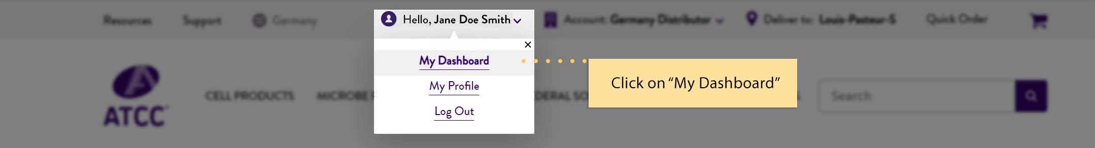 my dashboard account feature